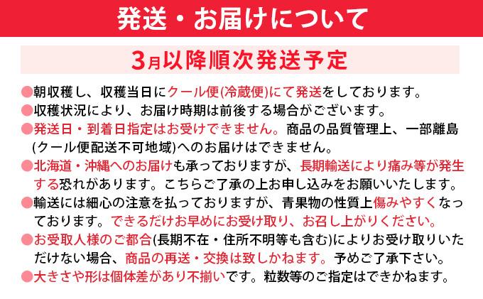 《先行予約》福岡県産あまおう 約270g×4パック《2027年3?4月発送》CL002