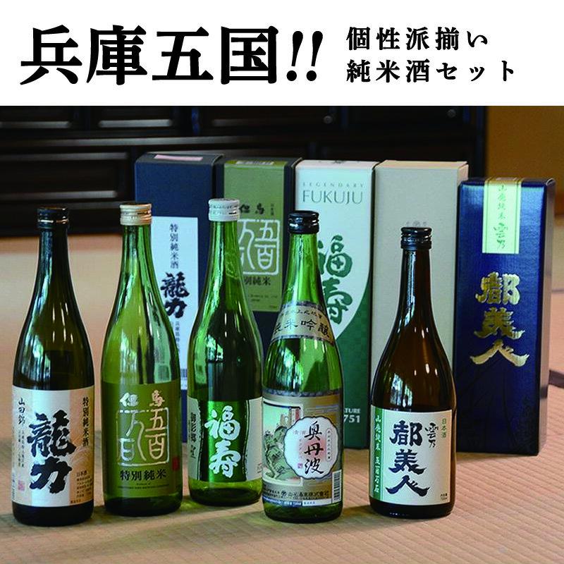 【ふるさと納税】兵庫五国！個性派揃い純米酒セット　【 お酒 日本酒 晩酌 家飲み 父の日 ギフト プレゼント 贈り物 純米酒飲み比べ 飲み比べセット 】