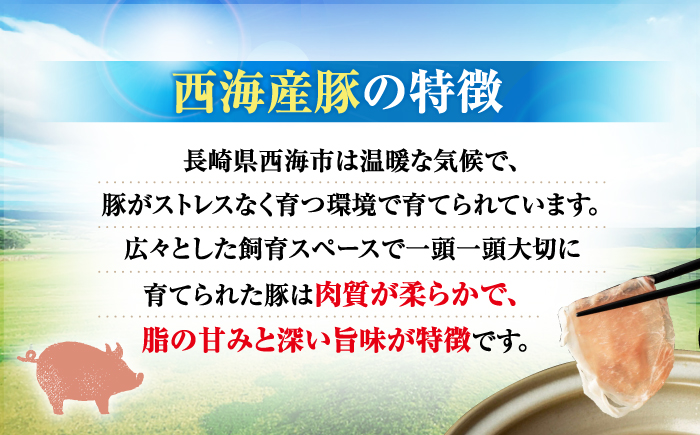 【6回定期便】【迷ったらこれ！】九州産黒毛和牛 国産豚 切り落とし 計6kg（約1kg×6回） ＜宮本畜産＞ [CFA020]