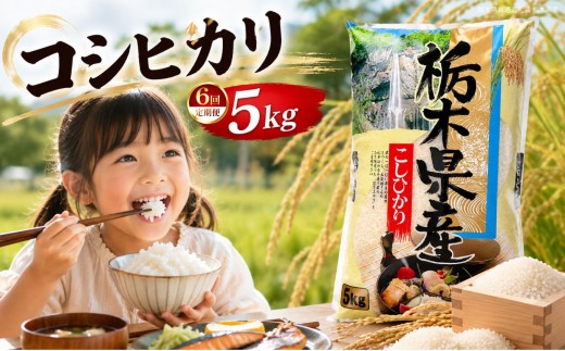 【定期6回】新米 令和8年度 栃木県産 こしひかり 白米 5kg  | 発送 ふるさと 納税 コシヒカリ お米 精米 白米 玄米 大粒 共通返礼品 送料無料 那珂川町 栃木県【栃木県共通返礼品】