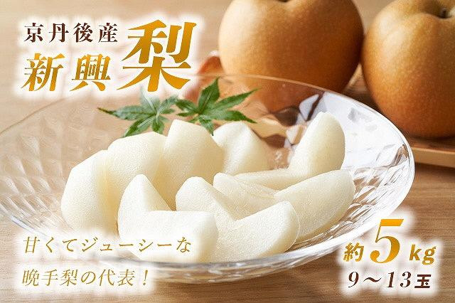 
            【先行予約】甘～ぃ！ジューシー！！晩生梨の代表 京丹後産 新興梨 5kg（9～13玉）（2025年10月中旬～発送）　国産 期間限定 デザート ふるさと 納税 梨 なし ナシ ふるさと 納税 先行予約 期間限定 ふるさと 納税 フルーツ くだもの 果物 赤梨　YK00105
          