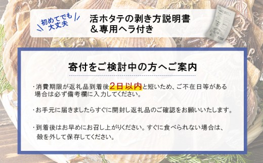 【先行予約】北海道 羽幌町産 殻付き活ホタテ 約3kg（15～20枚・ヘラ付き）