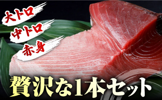 対馬産 本マグロ 1尾 計30~40kg《対馬市》【対海】[WAH005] マグロ まぐろ 鮪 本鮪 本マグロ 養殖 1本 トロ 中トロ 中とろ 大トロ 大とろ 赤身 刺身 カマ 冷凍 海鮮 魚 ブロ