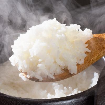 ふるさと納税 南魚沼市 新潟県 南魚沼産 備蓄 コシヒカリ ご飯 200g 計5パック レンジ 簡単 巣籠り セット |  | 01