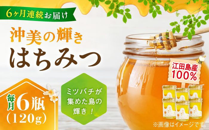 
            【全6回定期便】江田島産100％ はちみつ 『沖美の輝き』120g×6本セット ハチミツ 蜂蜜 国産 広島 江田島市/はつはな果蜂園 [XCD022] ハチミツ 国産蜂蜜 国産はちみつ 国産純粋はちみつ 蜜 蜂蜜 はちみつ ハニー honey 人気ハチミツ 日本蜜蜂 純粋はちみつ 常温 保存 備蓄 防災食 非常食 保存食 産地直送 国産 定期便
          