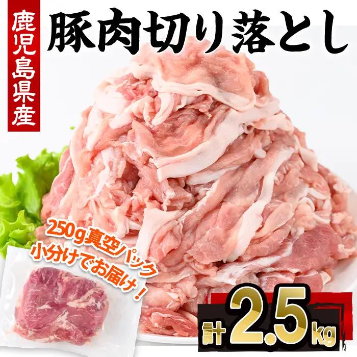 鹿児島県産 豚肉 切り落とし (計2.5kg・250g×10P)【株式会社羽根】A1087