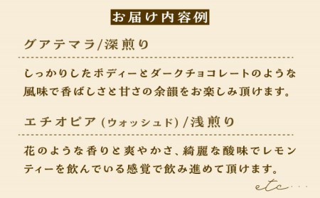 コーヒー豆 産地 飲み比べ 3種セット（豆）【GOOD DAYS COFFEE】コーヒー[TCG001]