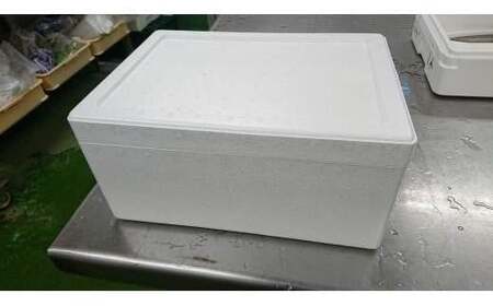 【北海道・東北・沖縄・離島配送不可／着日指定必須】ワタリガニ [オス] 約2kg(5～10尾) ワタリガニ