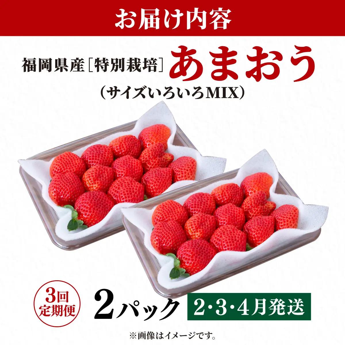 いちご 福岡県産 特別栽培 あまおう サイズいろいろMIX 約570g（約285g×2パック）【3回定期便（2～4月発送）】