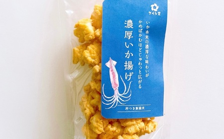 いか スタンドパック おかき 濃厚いか揚げ 12個 おつまみ するめいか せんべい 煎餅 いか いか いか いか いか sds006