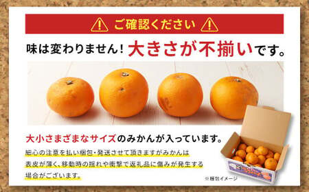 ＜2025年11月発送予定＞【不揃い】選べる河内塩屋みかん4kg 早生みかん 熊本 国産 みかん 蜜柑 ミカン 果物 くだもの フルーツ 