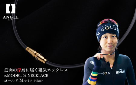 【髙木美帆 着用モデル】アングルe.モデル02ネックレス【ゴールドMサイズ】