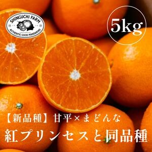 《新品種》「甘平×まどんな」　愛果48号【紅プリンセスと同品種】【5kg】【家庭用】【G70-85】【1633356】