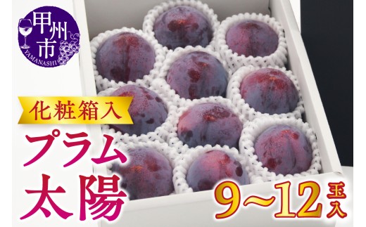 【宿沢フルーツ農園】プラム『太陽』（9～12玉）【2026年発送】（SF）B-194 【太陽 すもも スモモ 令和8年発送 期間限定 山梨県産 甲州市 フルーツ 果物】