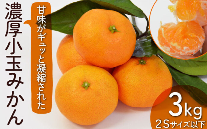 【2026年10月下旬～発送】【甘味が凝縮！】 濃厚 小玉みかん 3kg 温州みかん 2Sサイズ以下 / フルーツ 柑橘 蜜柑 ミカン / 南島原市 / 長崎県農産品流通合同会社 [SCB057]
