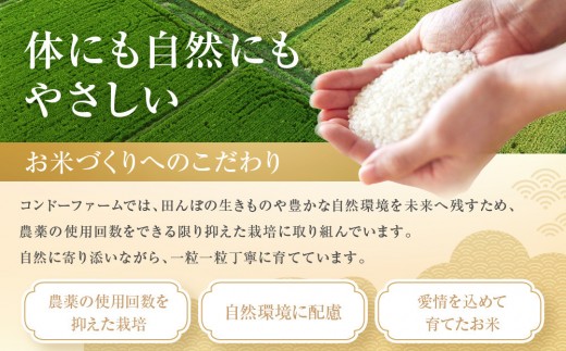 ミルキークイーン　5kg