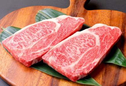 【3月末までに発送】近江牛 ステーキ用肩ロース【360ｇ（180g×2枚)】【AB45SM-3m】
