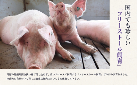 鬼の宝ポークしゃぶしゃぶ食べ比べセット 1.5kg ( ロース・肩ロース・バラ肉 各500g )