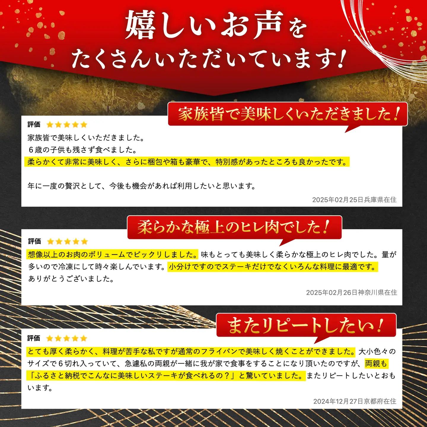 ヒレ 牛肉 ヒレステーキ 佐賀牛 600g NAB077 