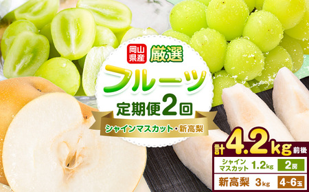 岡山県産 厳選 フルーツ 定期便 2回 シャインマスカット 新高梨 計4.2kg前後 株式会社藍《9月上旬-10月下旬頃出荷》 岡山県 浅口市 岡山県産 シャインマスカット 新高梨 梨 旬 フルーツ 果物 くだもの 送料無料 【配送不可地域あり】（北海道・沖縄・離島）