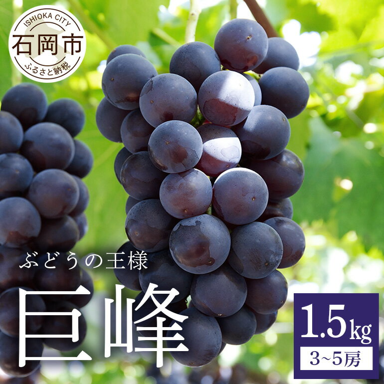 【ふるさと納税】【 2026年 先行予約 】 巨峰 ( 種あり ) 1.5kg 3房〜5房 鈴木ぶどう園 ぶどう ブドウ 国産 果物 くだもの 葡萄 フルーツ 1.5キロ 8月 下旬 9月 10月 発送 夏 秋 旬 品種 茨城県産 産地直送 産直 農家直送 冷蔵 石岡市 送料無料 (A07-001)