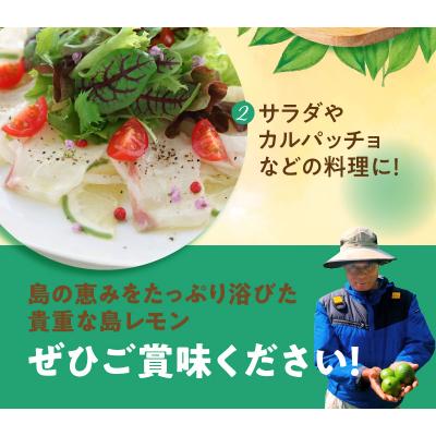 ふるさと納税 和泊町 栽培期間中　農薬・除草剤・化学肥料不使用!南国の島レモン3キロ |  | 02