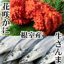 【ふるさと納税】[北海道根室産]花咲かに300g前後～450g前後×1尾、生さんま5尾×1P G-36002