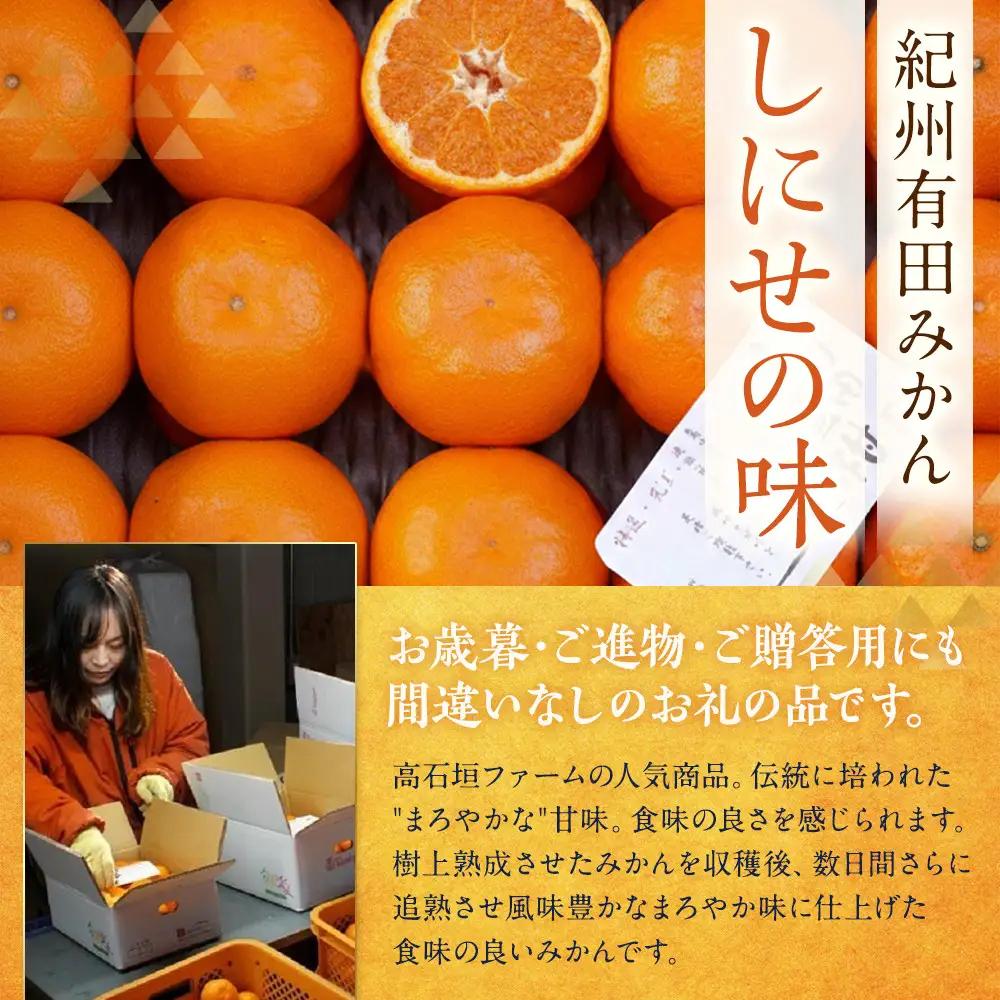 有田みかん 約1kg 2S～2L いずれか みかん 秀品または優品 しにせの味