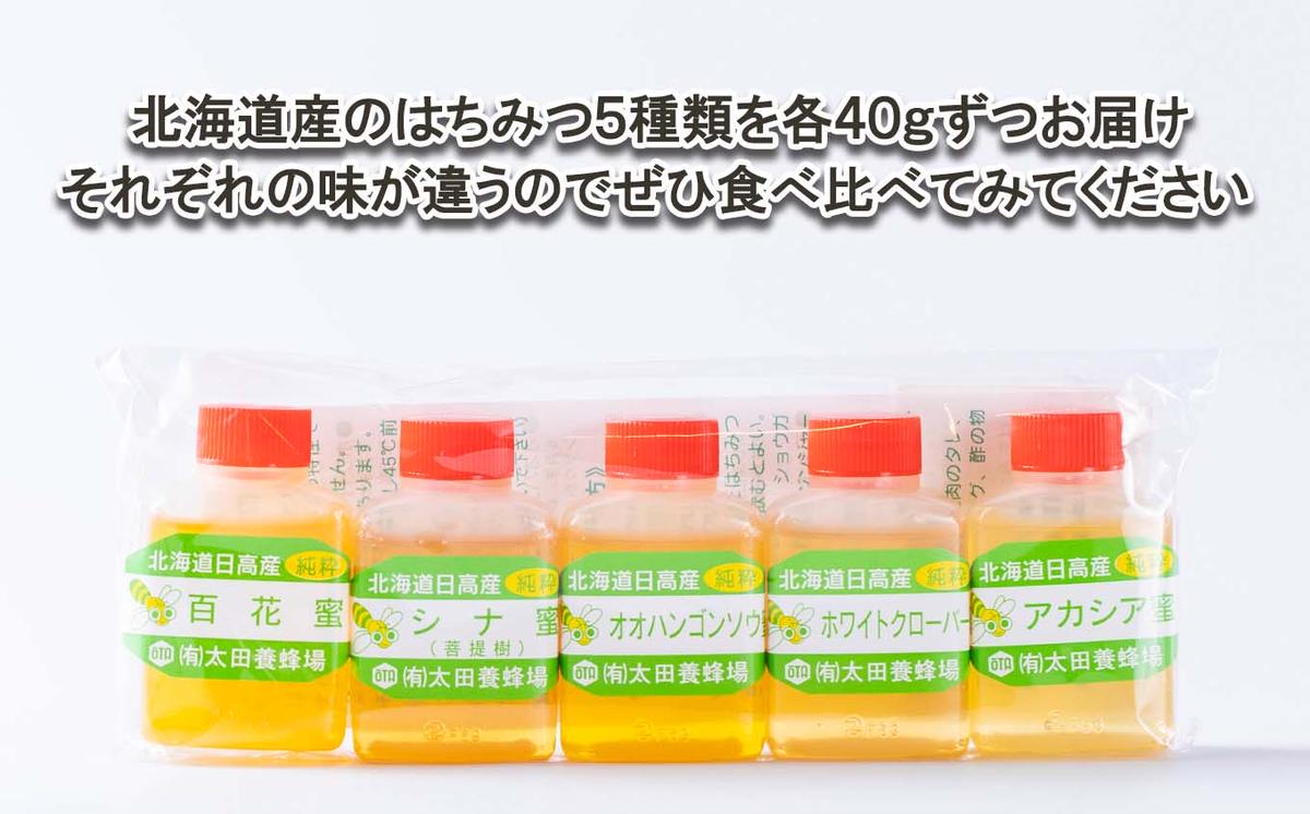 北海道産 はちみつ 5種 各40g お試し 食べ比べ セット