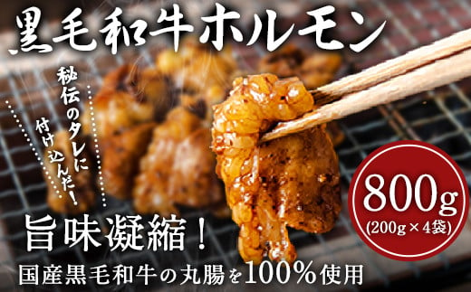 黒毛和牛ホルモン800g(200g×4袋) ブランド牛 有限会社トップルーフ《60日以内に出荷予定(土日祝除く)》