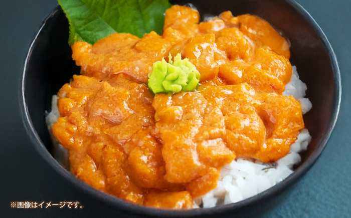 【冷凍】壱岐産うに丼　 40g×2食　《壱岐市》　【一支國屋】 [JCC030]