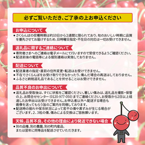 【先行受付/2024年7月出荷開始】仁木町産 さくらんぼ 「佐藤錦」 バラ詰め 500g ［妹尾観光農園］ 北海道 果物 フルーツ チェリー サクランボ