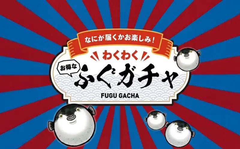 ふぐガチャ 数量限定 ふぐ 福袋 冷凍 BV