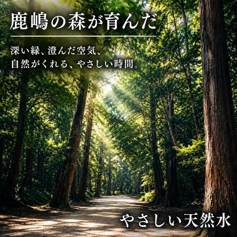 【12カ月定期便】 天然水 （500ml×24本） ミネラルウォーター