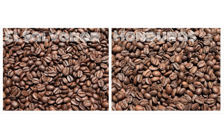スペシャルティコーヒー 飲み比べセット【粉】 （５０g×６個）【 コーヒー 神奈川県 小田原市 コーヒーコーヒーコーヒーコーヒーコーヒー】