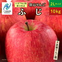 【ふるさと納税】 《2024年11月下旬以降順次》羽山のりんご　ふじ2Lサイズ10kg【斎藤りんご園】 りんご 果物 フルーツ 羽山りんご 10kg りんご ふじ 人気 くだもの おすすめ お中元 お歳暮 ギフト 二本松市 ふくしま 福島県 送料無料 【斎藤りんご園】