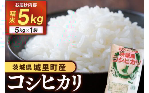 令和7年産 お米 5kg ★関東地方限定配送★「コシヒカリ 精米」 精白米 米 ご飯 こしひかり【配送不可地域：関東以外】 (AX012)