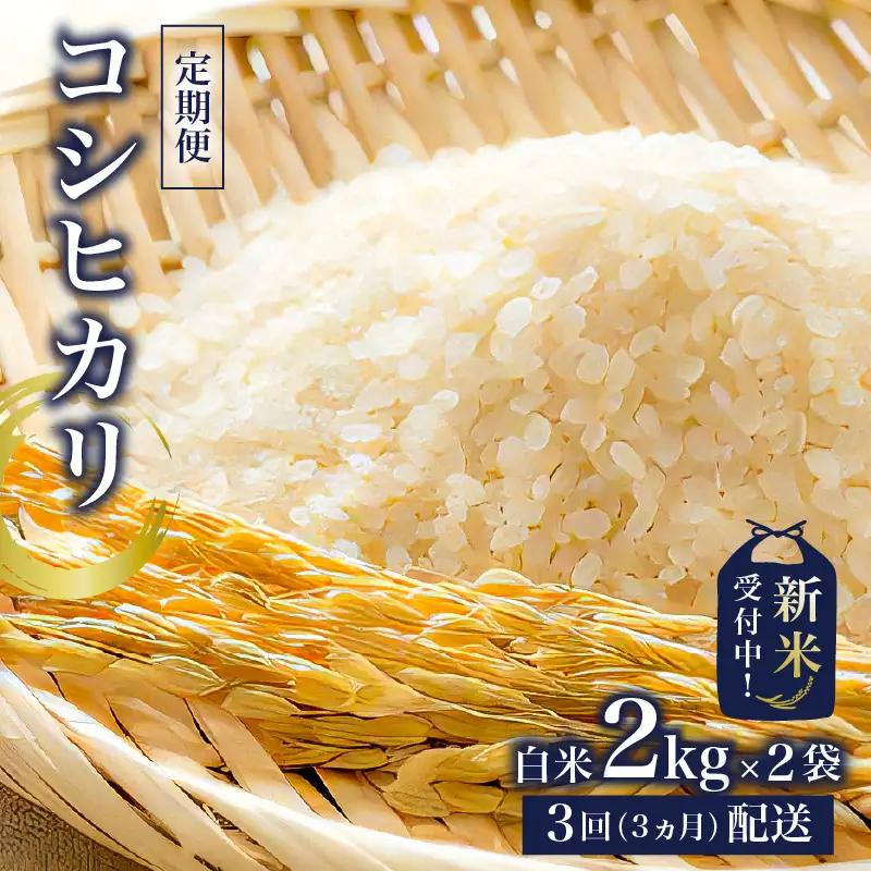 【定期便】【新米】コシヒカリ白米2kg×2【2026年産】【3か月連続でお届け】 mi0015-0003