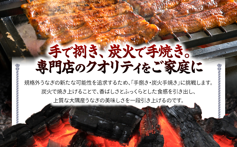 クラウドファンディングで応援！【全12回定期便】鰻の蒲焼 1尾（170g×1）　KN026-T05