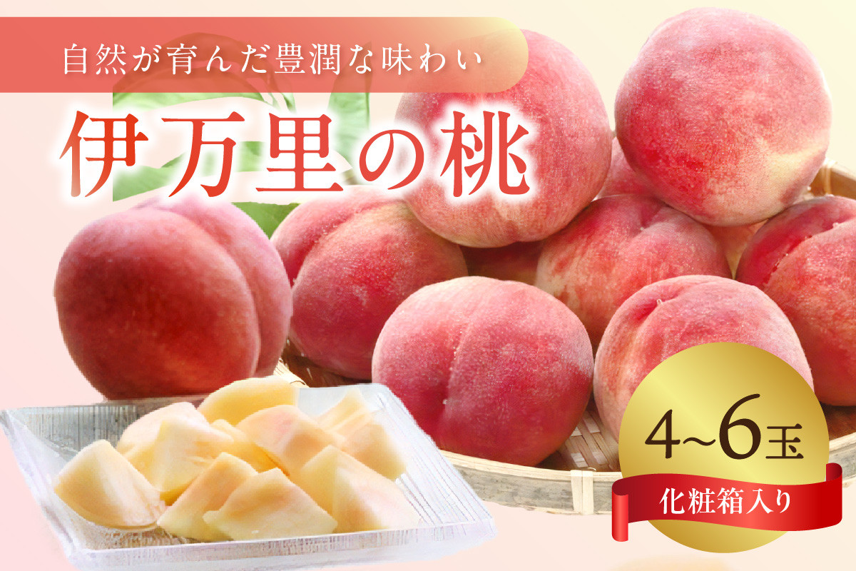 
            【先行予約】伊万里の桃 化粧箱入り（4～6玉） 178-B962
          