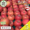 【ふるさと納税】 りんご サンふじ （ 極小 ） 家庭用 5kg 町田さんちのりんご 長野県 飯綱町 〔 リンゴ 林檎 果物 フルーツ 信州 長野 11000円 予約 農家直送 〕発送期間：2025年1月上旬～2025年2月上旬