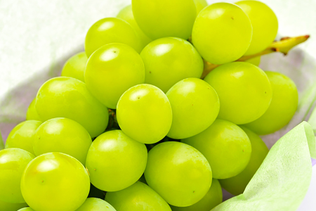 C-698 【先行予約】待ちきれない シャインマスカット （大粒）1房【ぶどう シャインマスカット 2025 しゃいんますかっと マスカット 1房 種無し たねなし 皮ごと 大粒 期間限定 季節限定】