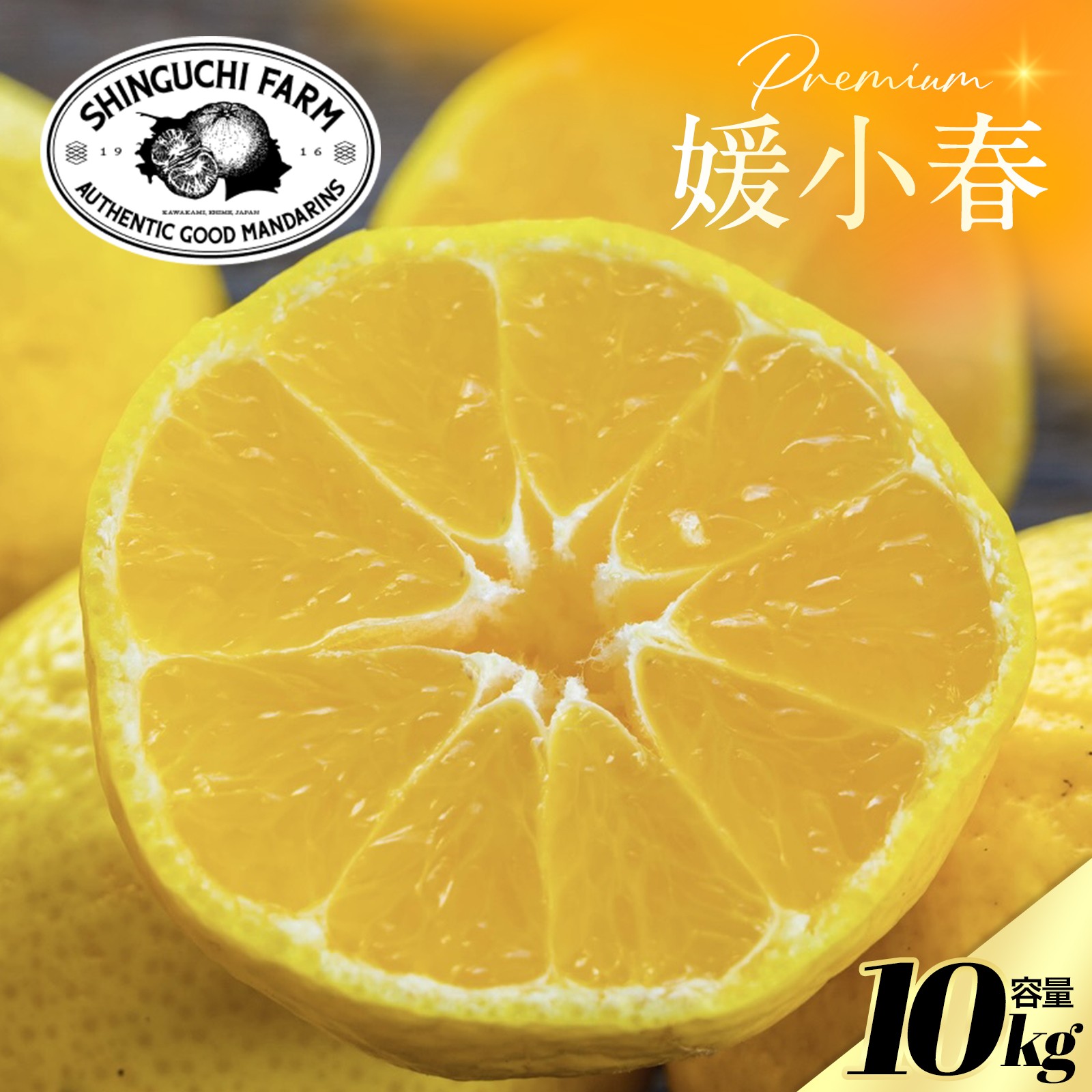 
                  【先行受付】老舗農家が見極めたプレミアム【媛小春10kg】 愛媛県新品種【H70-119】1683937】 YWTK118
                