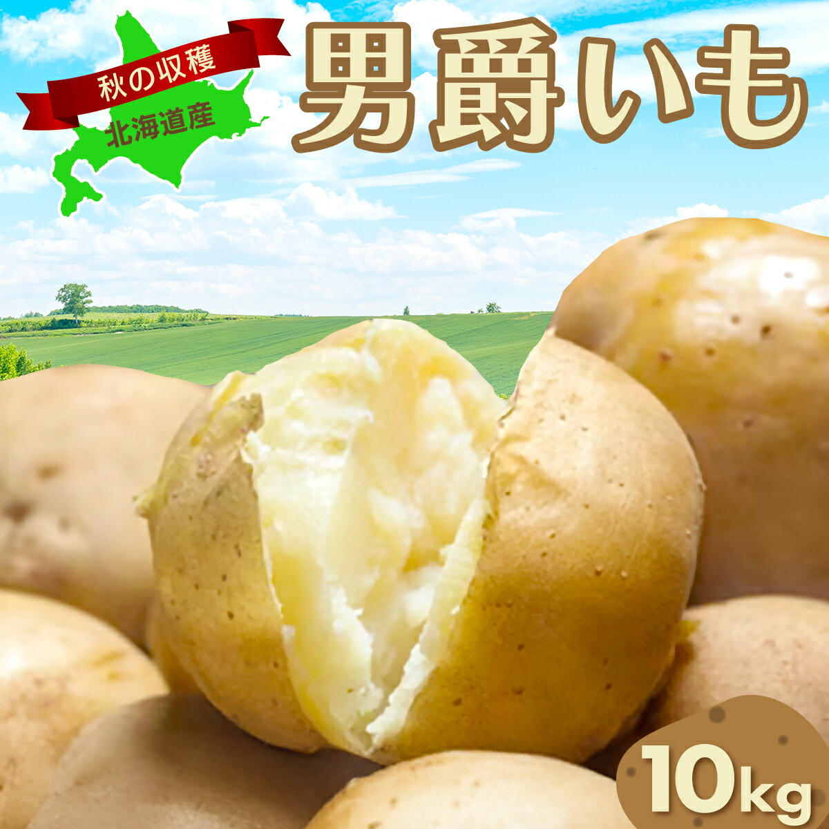 【ふるさと納税】【先行予約】秋の収穫男爵いも 約10kg詰め（2025年9月15日以降発送）【 ふるさと納税 人気 おすすめ ランキング じゃがいも ジャガイモ 芋 いも イモ 男爵 男爵いも 野菜 セット 詰め合わせ 詰合せ 北海道 網走市 送料無料 】ABAO081