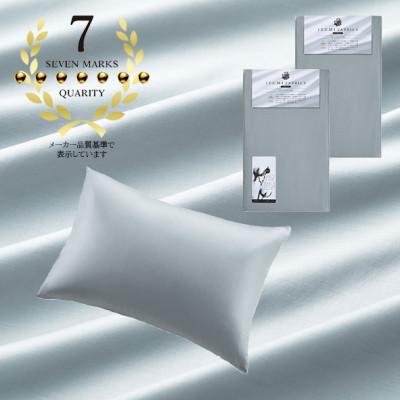 ふるさと納税 和泉市 (43×63cm)ポーランド産マザーグースダウンピロー(羽毛枕)95%&ピローケース:フォグブルー |  | 01