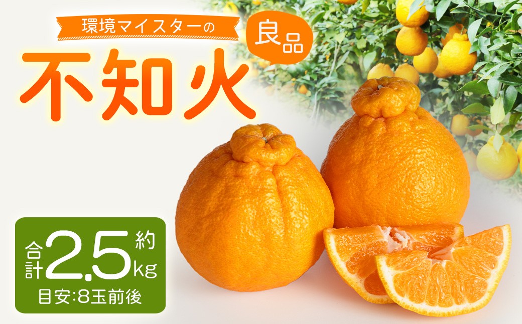 
                  環境マイスターの不知火 良品2.5kg （栽培期間中は無肥料・低農薬） 果物 くだもの フルーツ 不知火 しらぬい 柑橘 みかん 【2027年2月上旬-4月下旬迄順次発送予定】
                