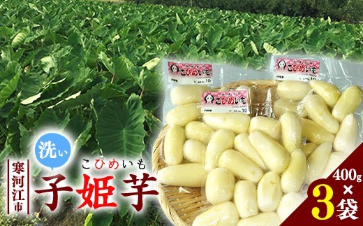 洗い里芋 子姫芋（こひめいも） 1.2kg以上（400g×3袋） 山形 令和8年産 2026年産 【2026年9月下旬頃から11月上旬頃配送予定】　014-B-CS002