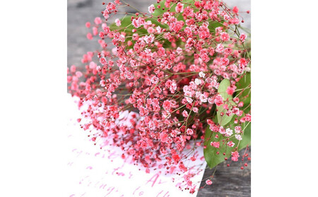 チェリーかすみの花束 かすみ草 カスミソウ 花束 花 誕生日 成人式 卒業祝い 初節句 ひな祭り バレンタイン お返し 結婚 ウエディング 送別 祝い プレゼント 結婚祝い お礼 花束 赤いかすみ草 