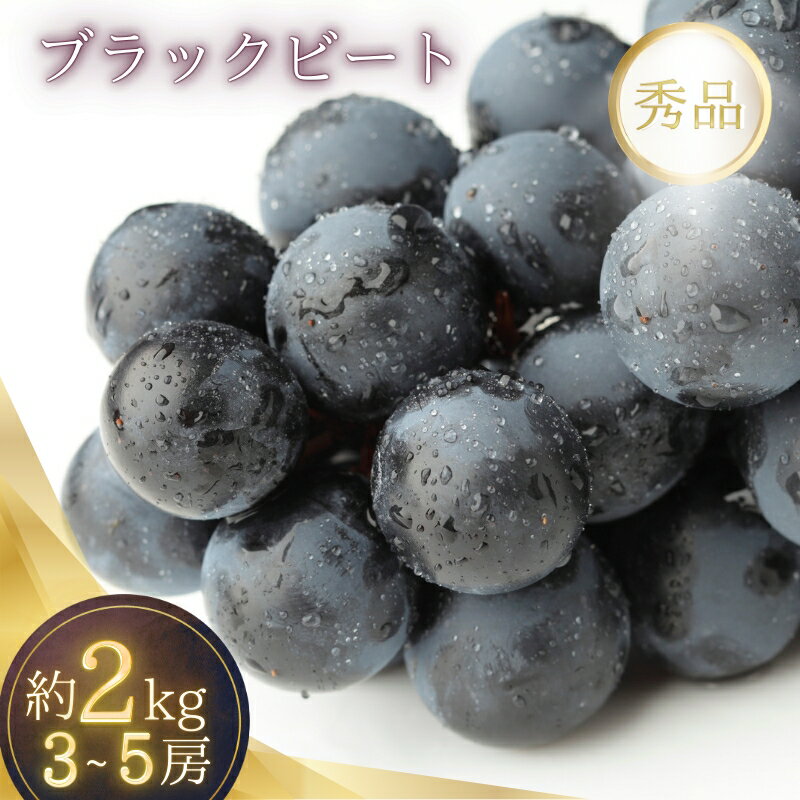 【ふるさと納税】 2kg箱入り（3~5房）種無し ブラックビート（ブドウ・ぶどう）【2026年7月下旬〜順次発送（限定数量）】