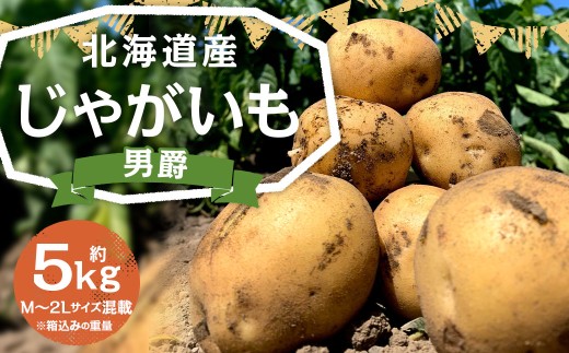 北海道産 じゃがいも 男爵 M～2Lサイズ混載 約5kg 1箱 【2026年9月下旬-2027年1月上旬迄発送予定】